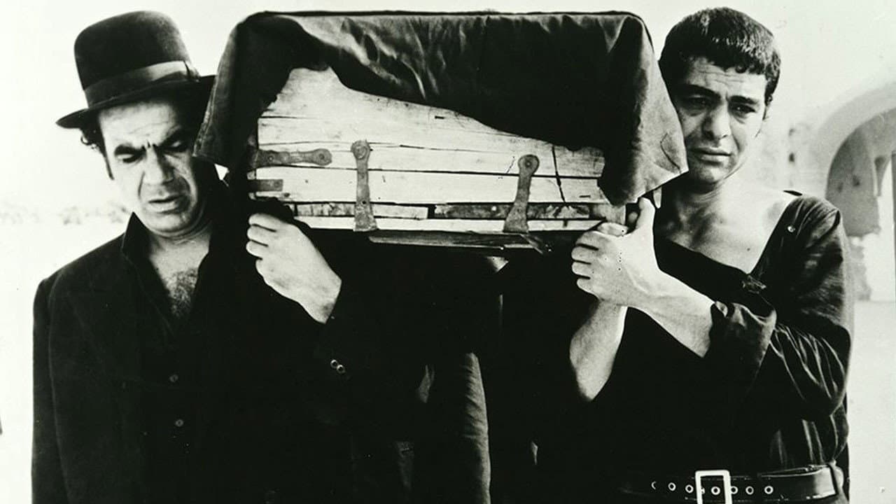 طوقی - immagine