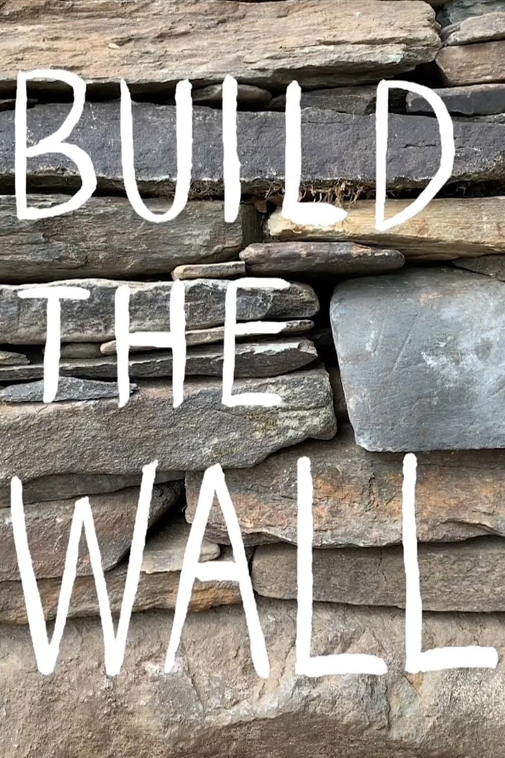 Poster di Build the Wall