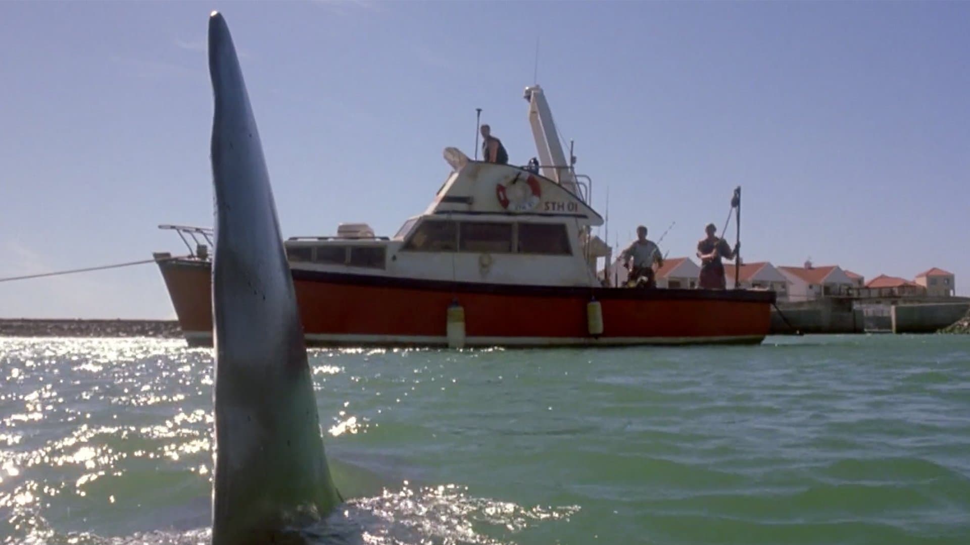 Shark Attack 2 - immagine