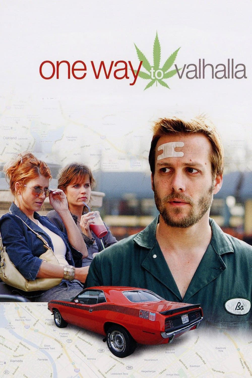 Poster di One Way to Valhalla