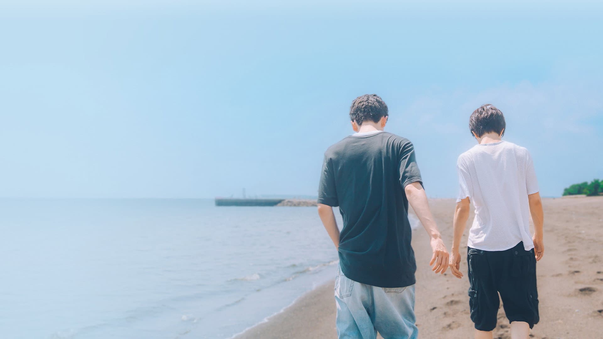 こころ - immagine