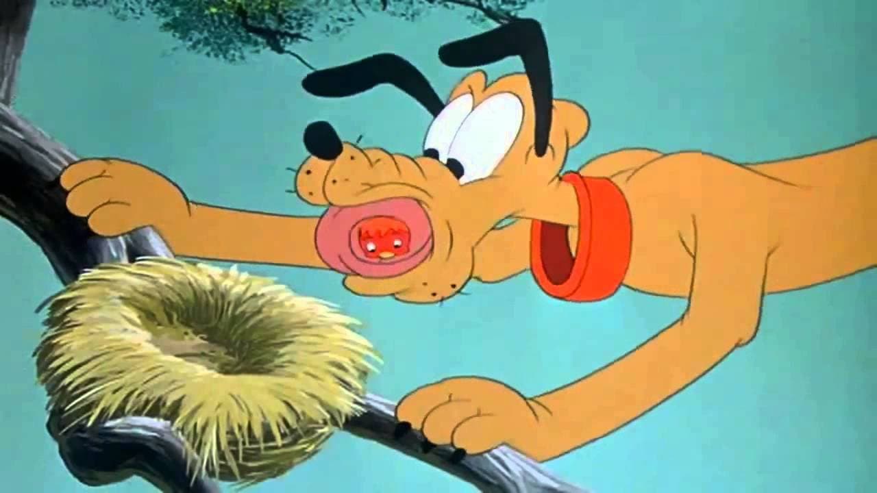 Pluto istruttore di volo - immagine