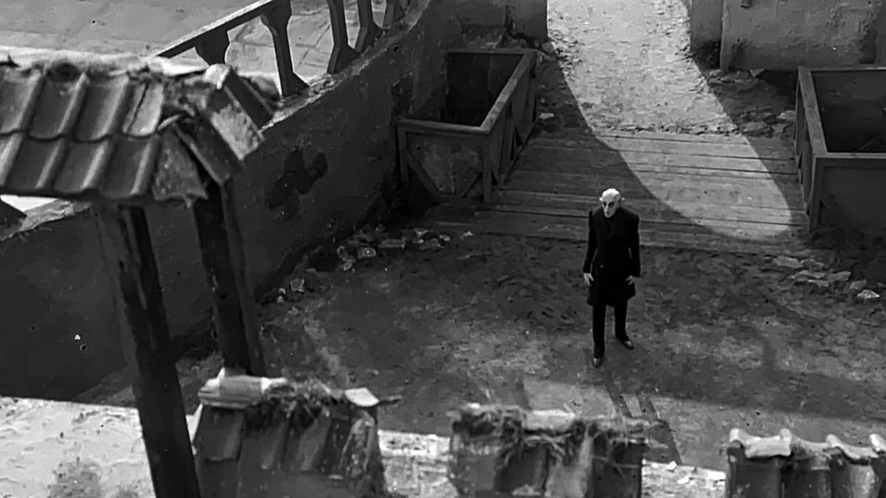 Nosferatu – Ein Film wie ein Vampir - immagine
