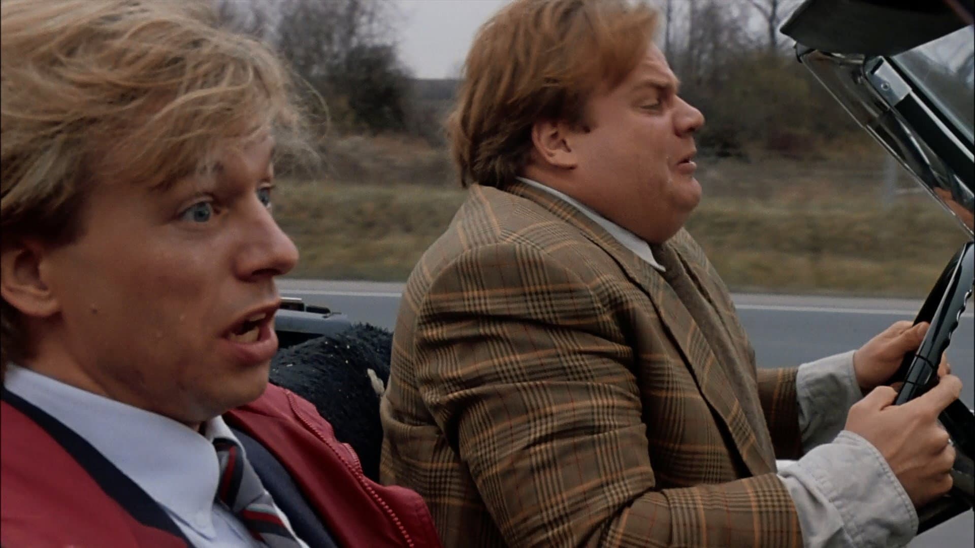 Tommy Boy - immagine