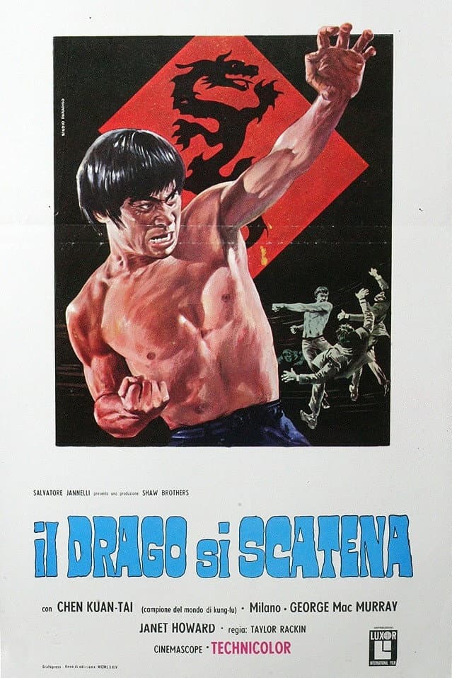 Poster di Il drago si scatena