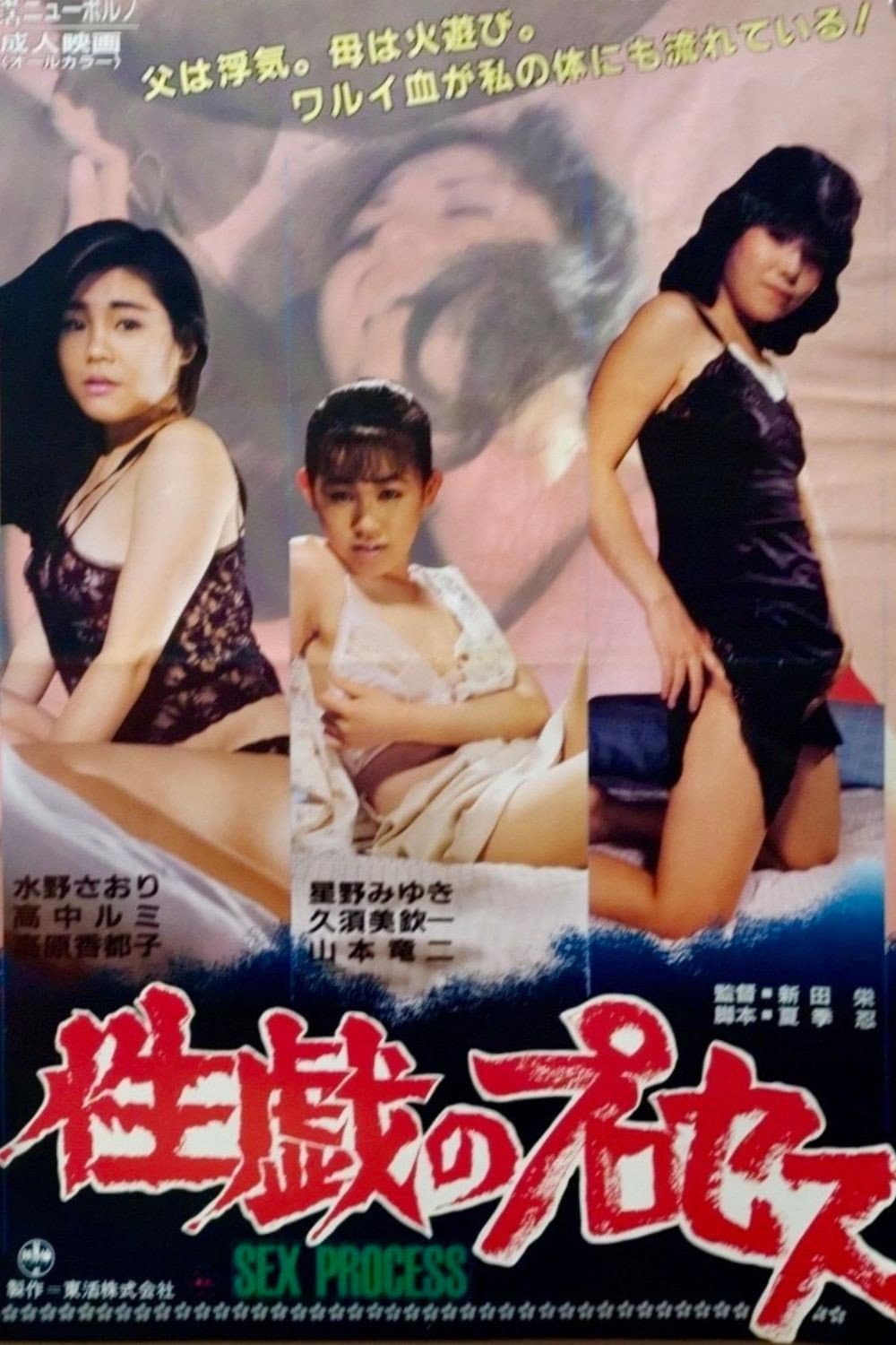 Poster di 性戯のプロセス