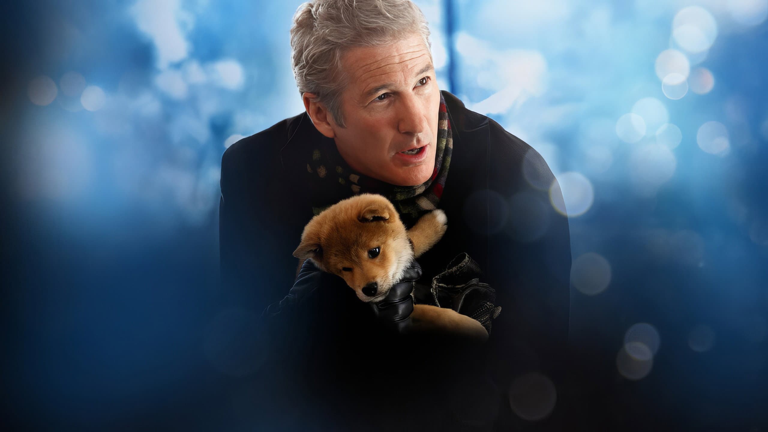 Hachiko - Il tuo migliore amico - immagine