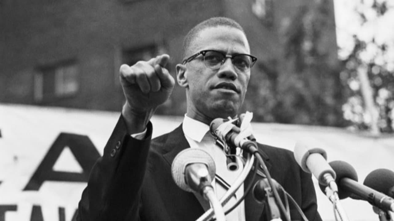 The Autobiography of Malcolm X - immagine
