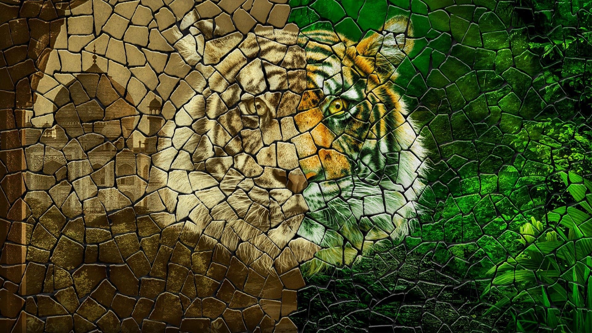 Tigerland - immagine