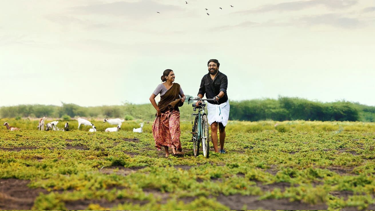 காரி - immagine