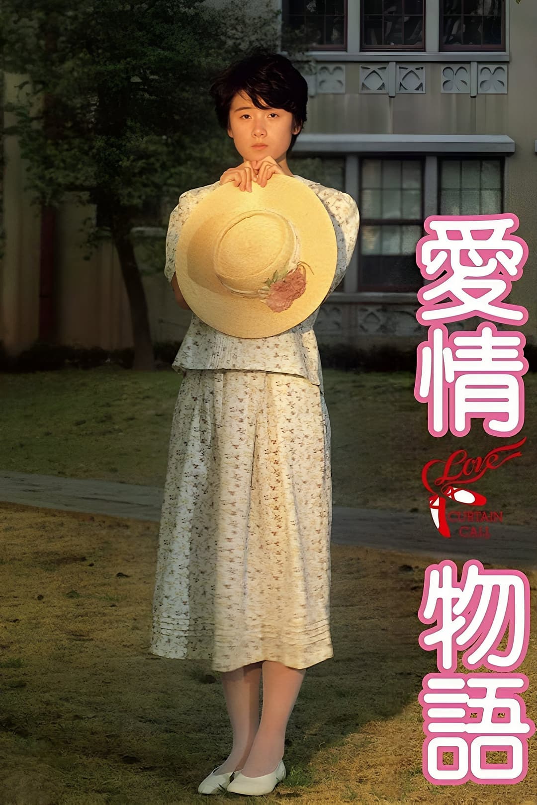 Poster di 愛情物語