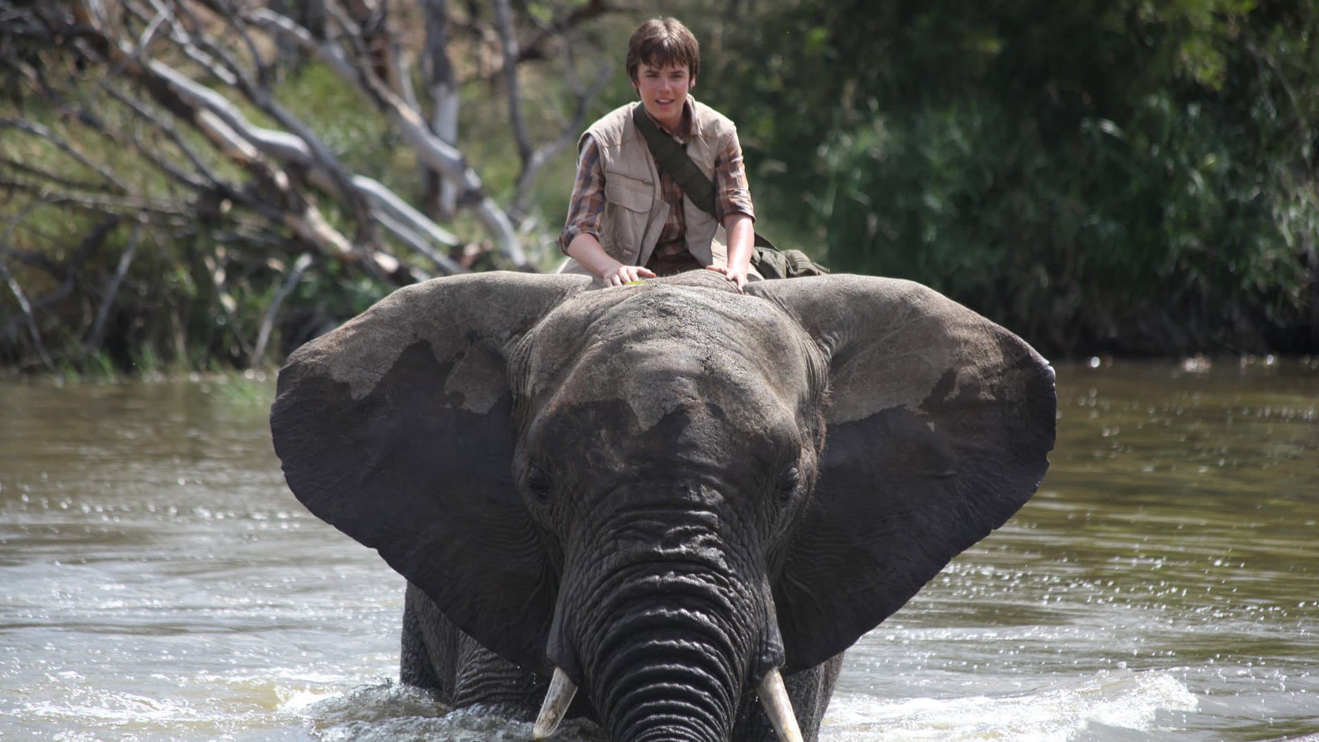 Il ragazzo e il grande elefante - immagine