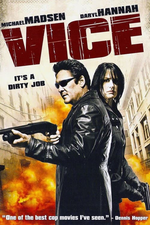 Poster di Vice