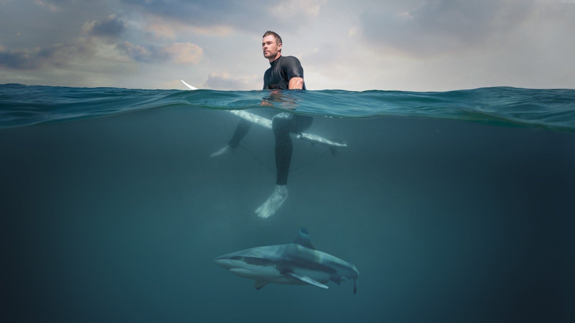 Shark Beach with Chris Hemsworth - immagine