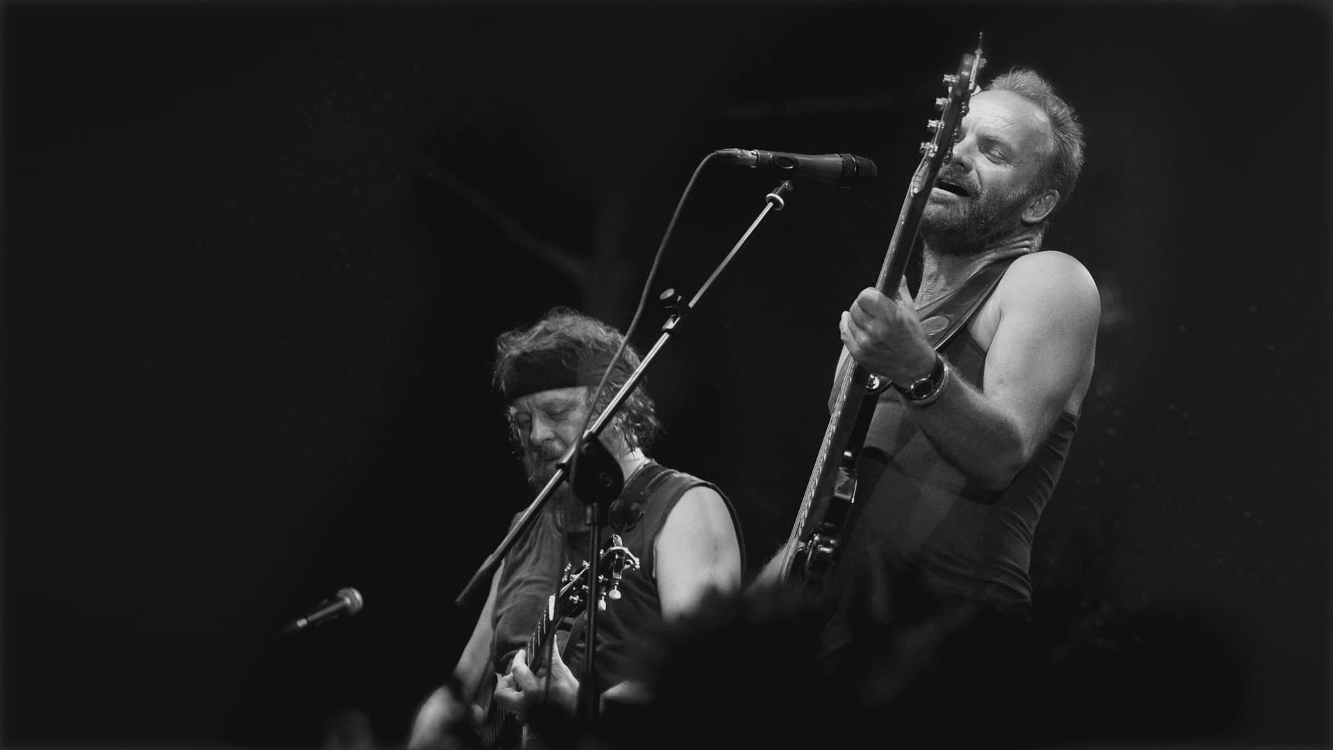 Sting - Tra musica e libertà - immagine
