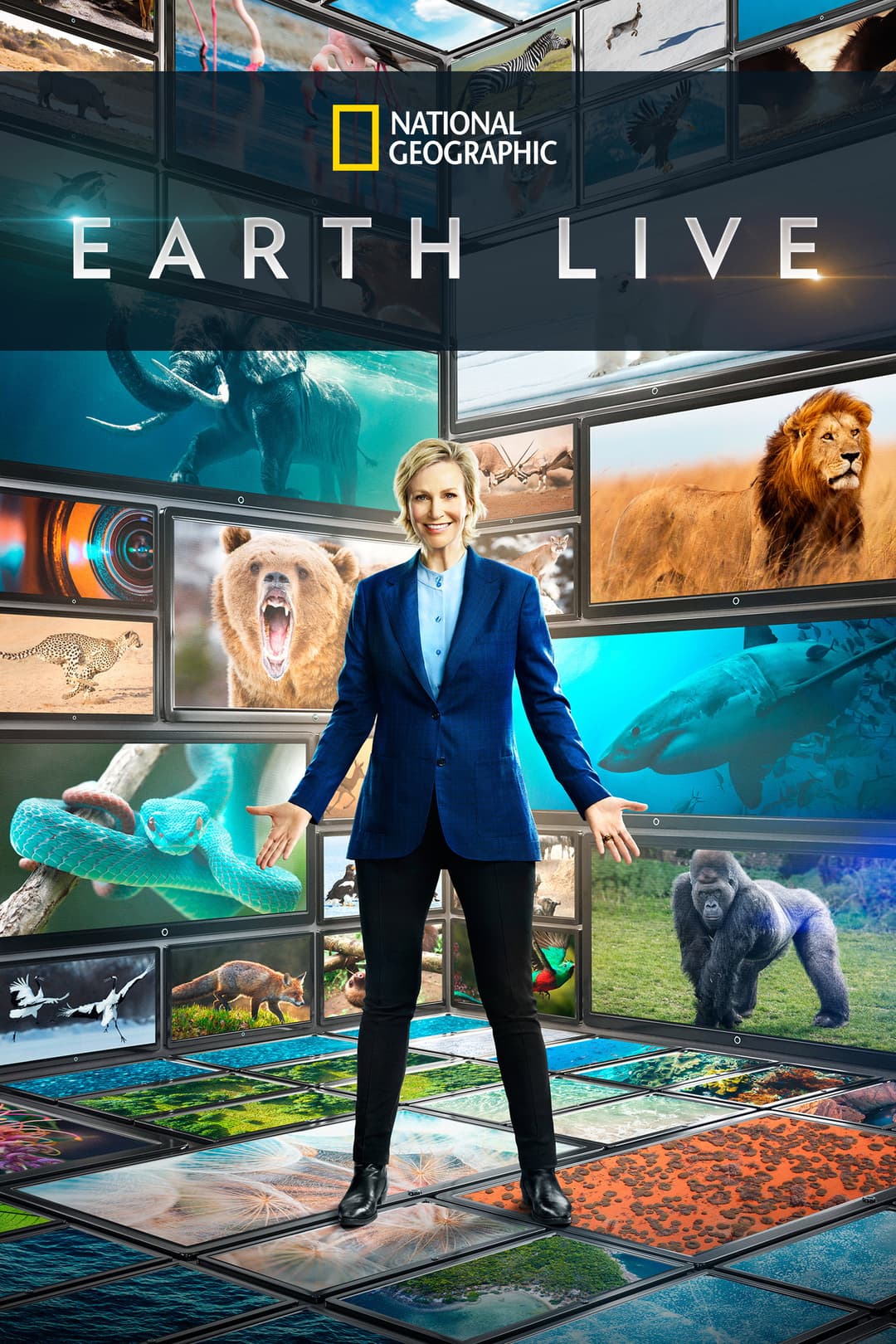 Poster di Earth Live