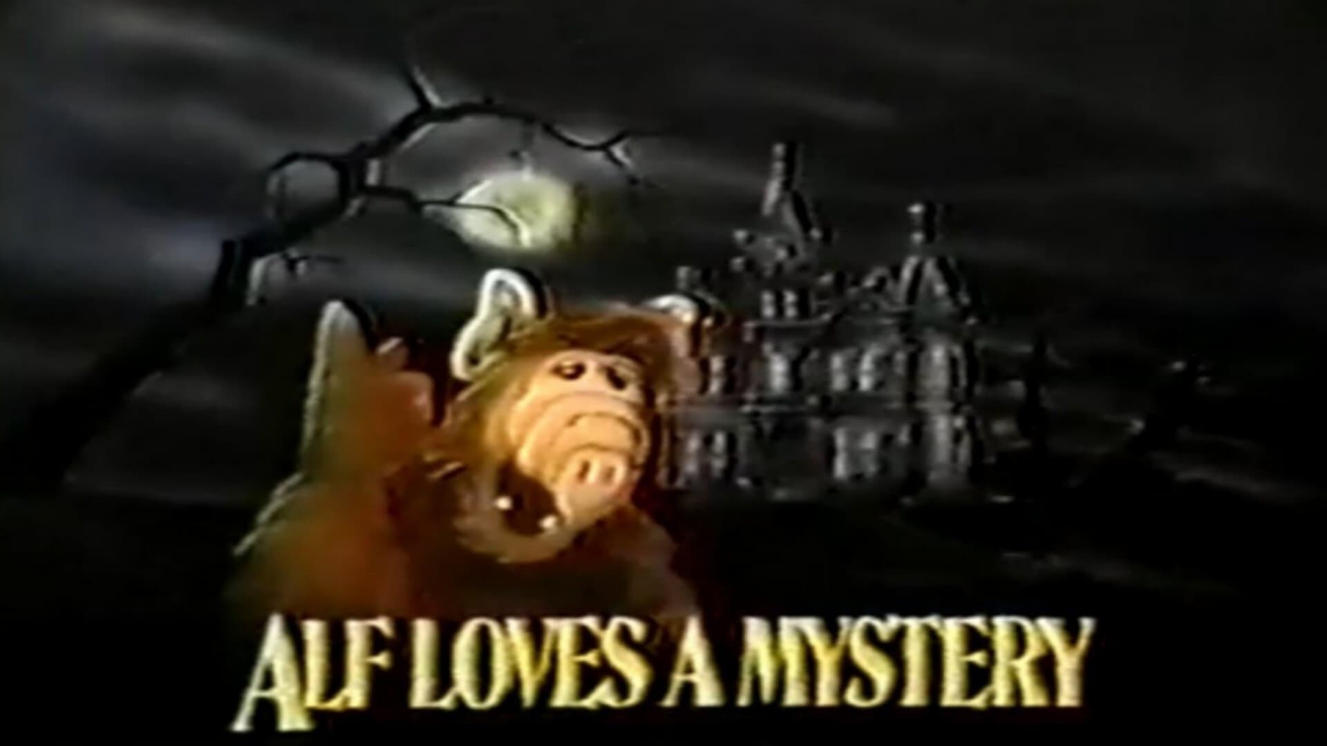 ALF Loves a Mystery - immagine