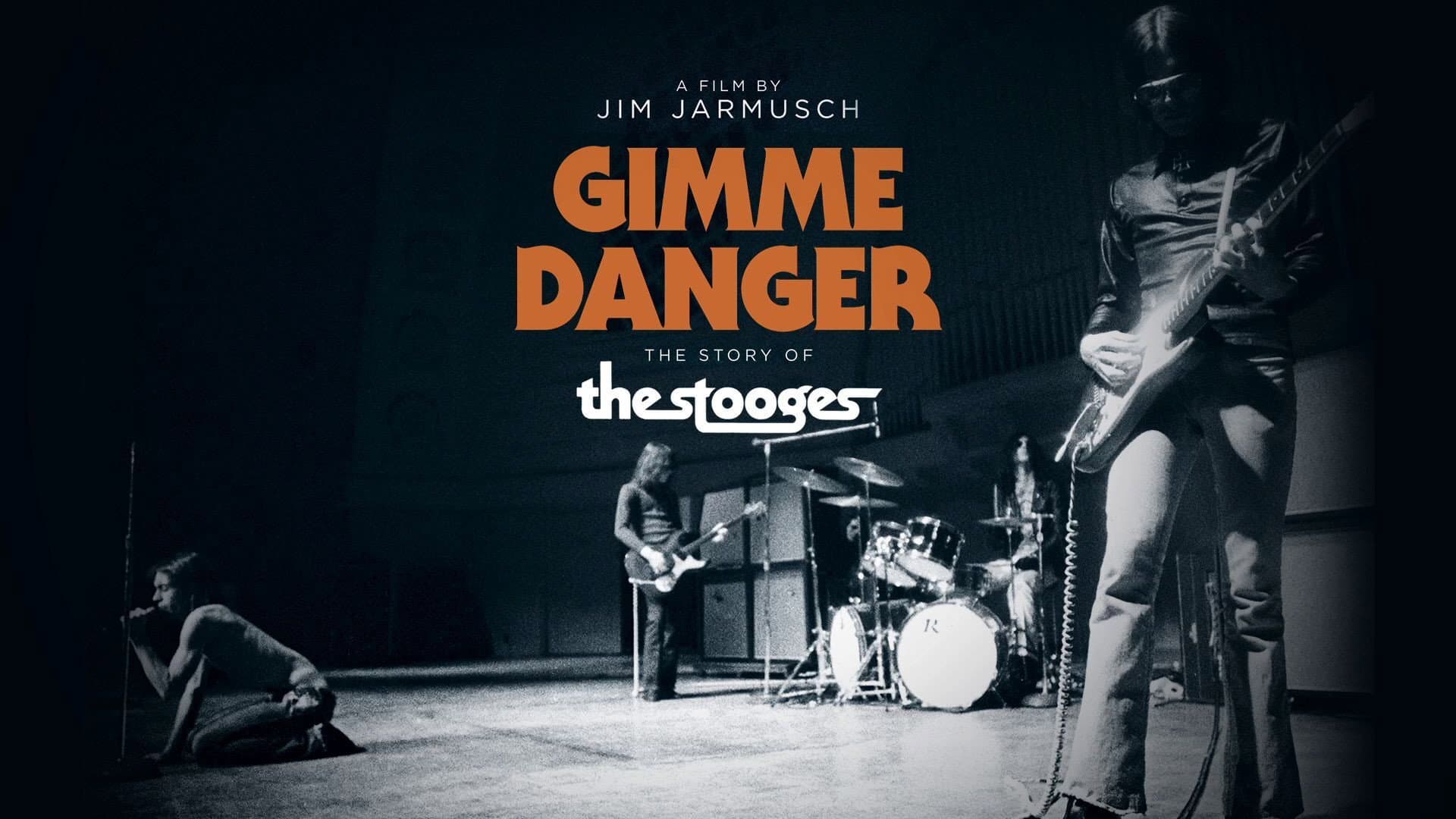 Gimme Danger - immagine