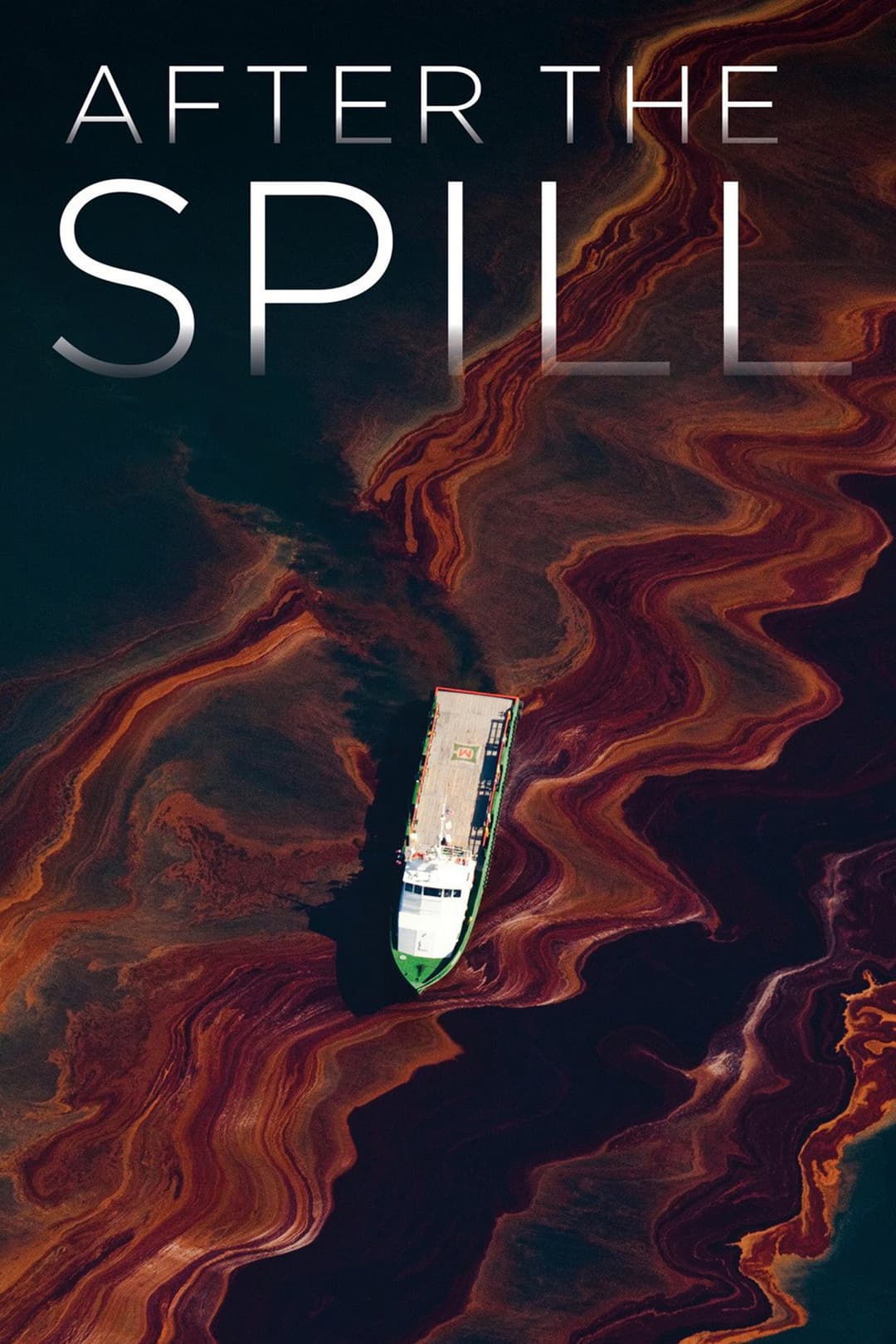 Poster di After the Spill