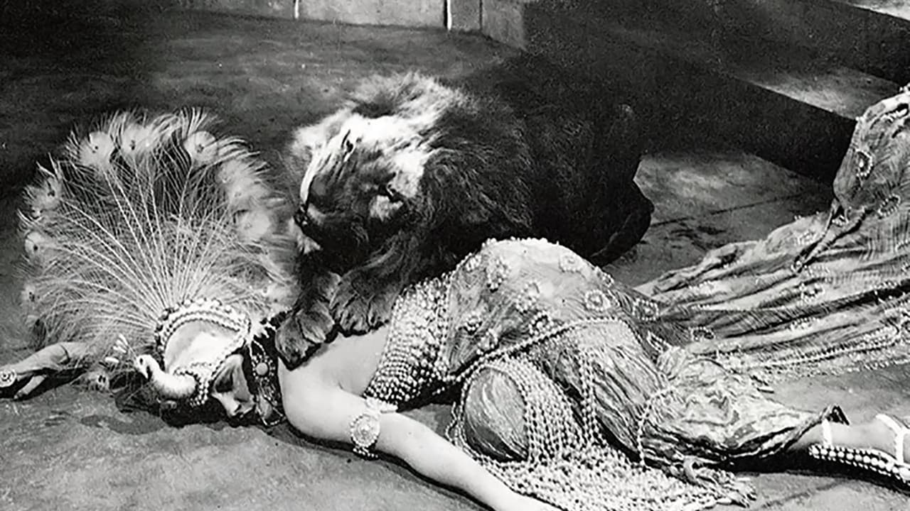 Maschio e femmina - immagine