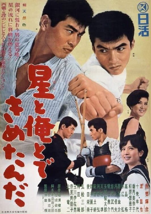Poster di 星と俺とできめたんだ