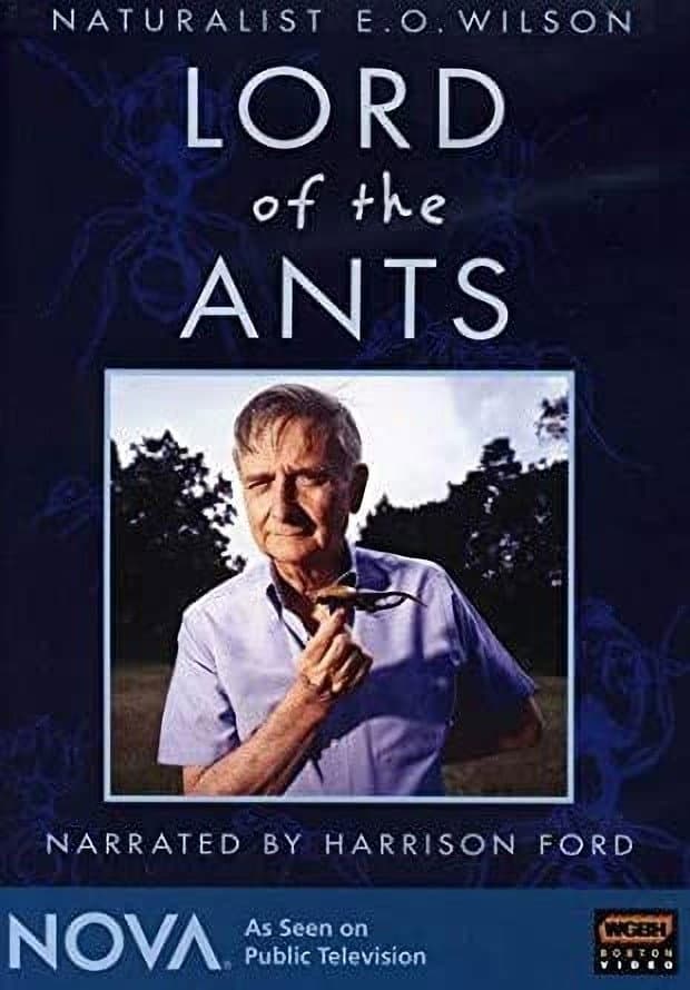 Poster di Lord of the Ants