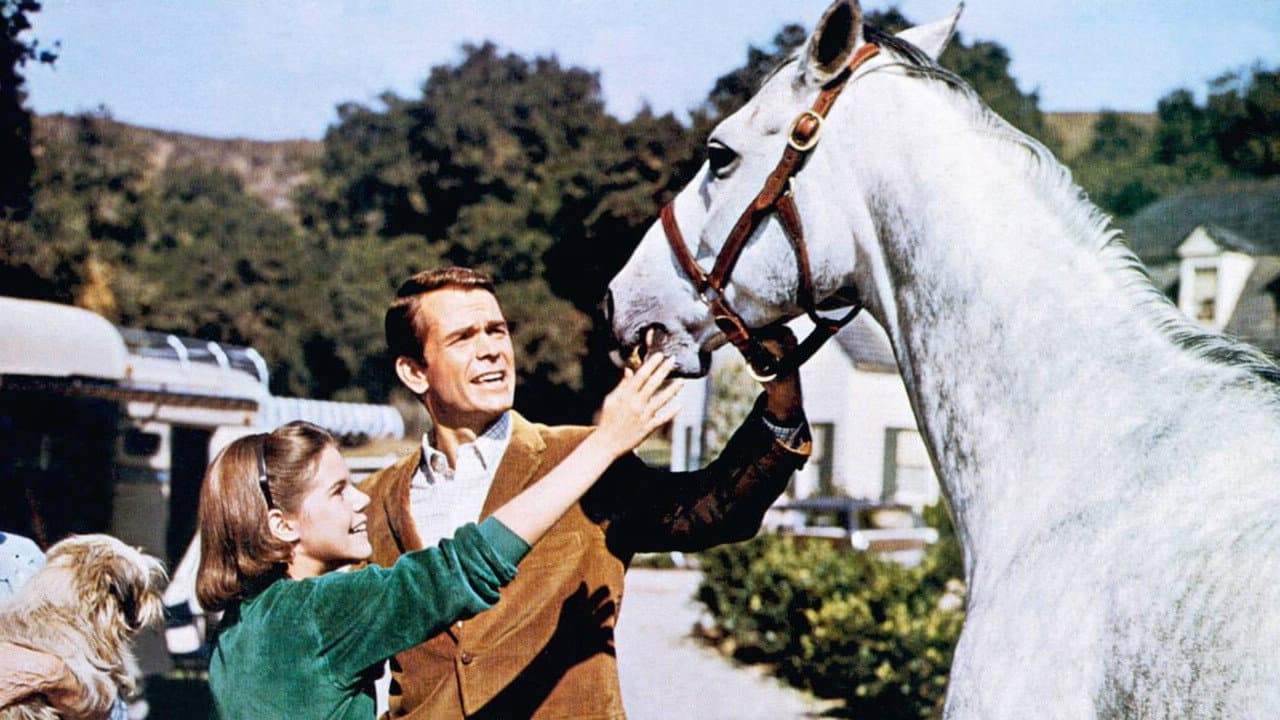 Il cavallo in doppiopetto - immagine