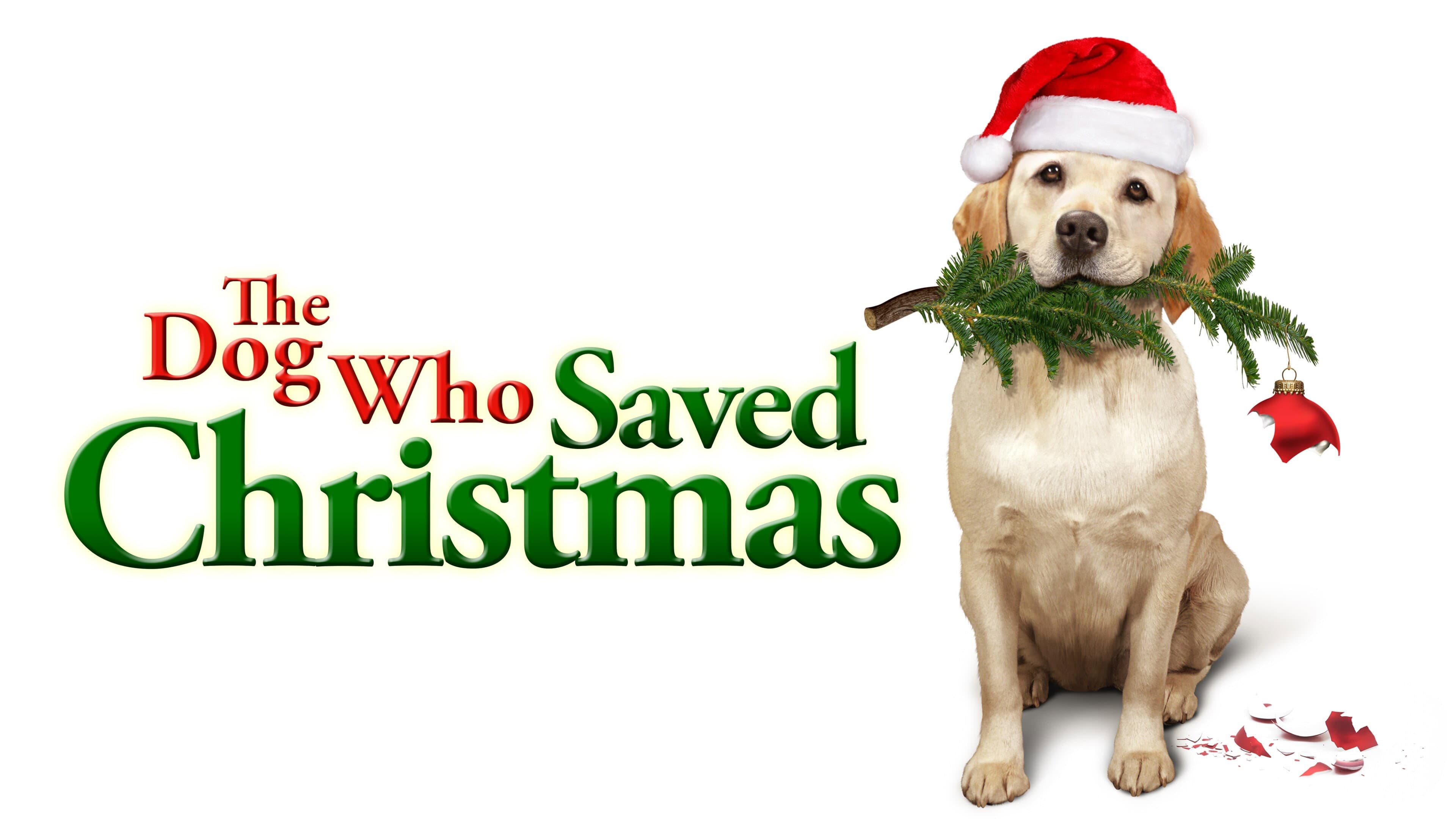 Mamma che Natale da cani! - immagine