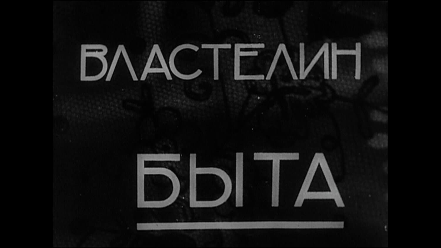 Властелин быта - immagine