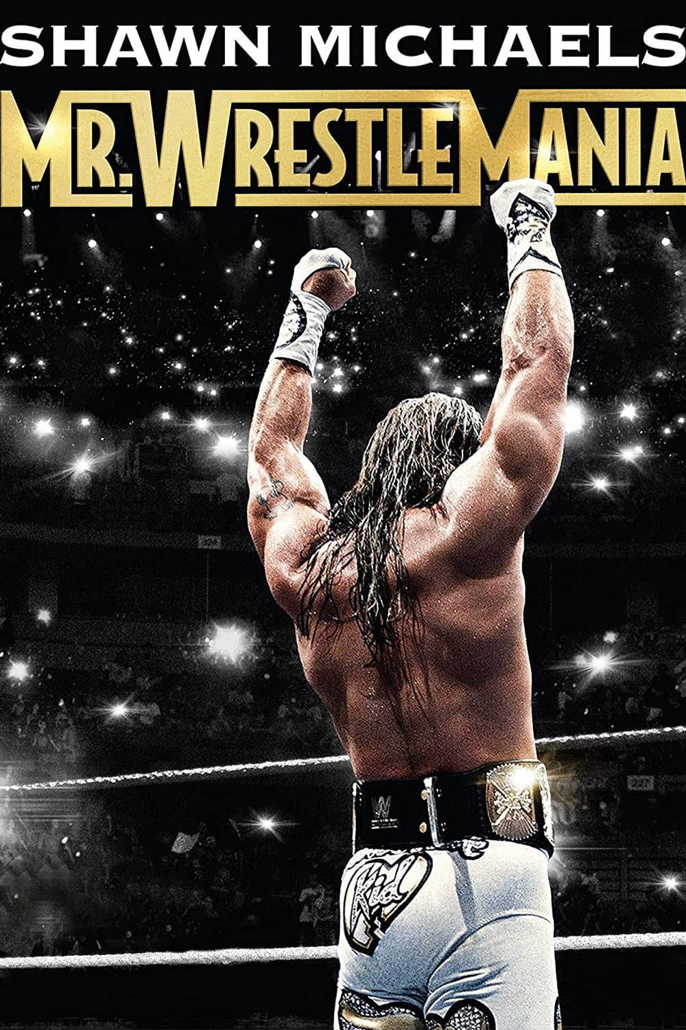 Poster di Shawn Michaels: Mr Wrestlemania