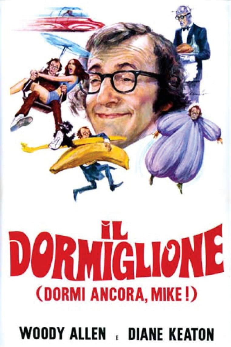 Poster di Il dormiglione