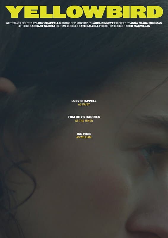 Poster di Yellowbird