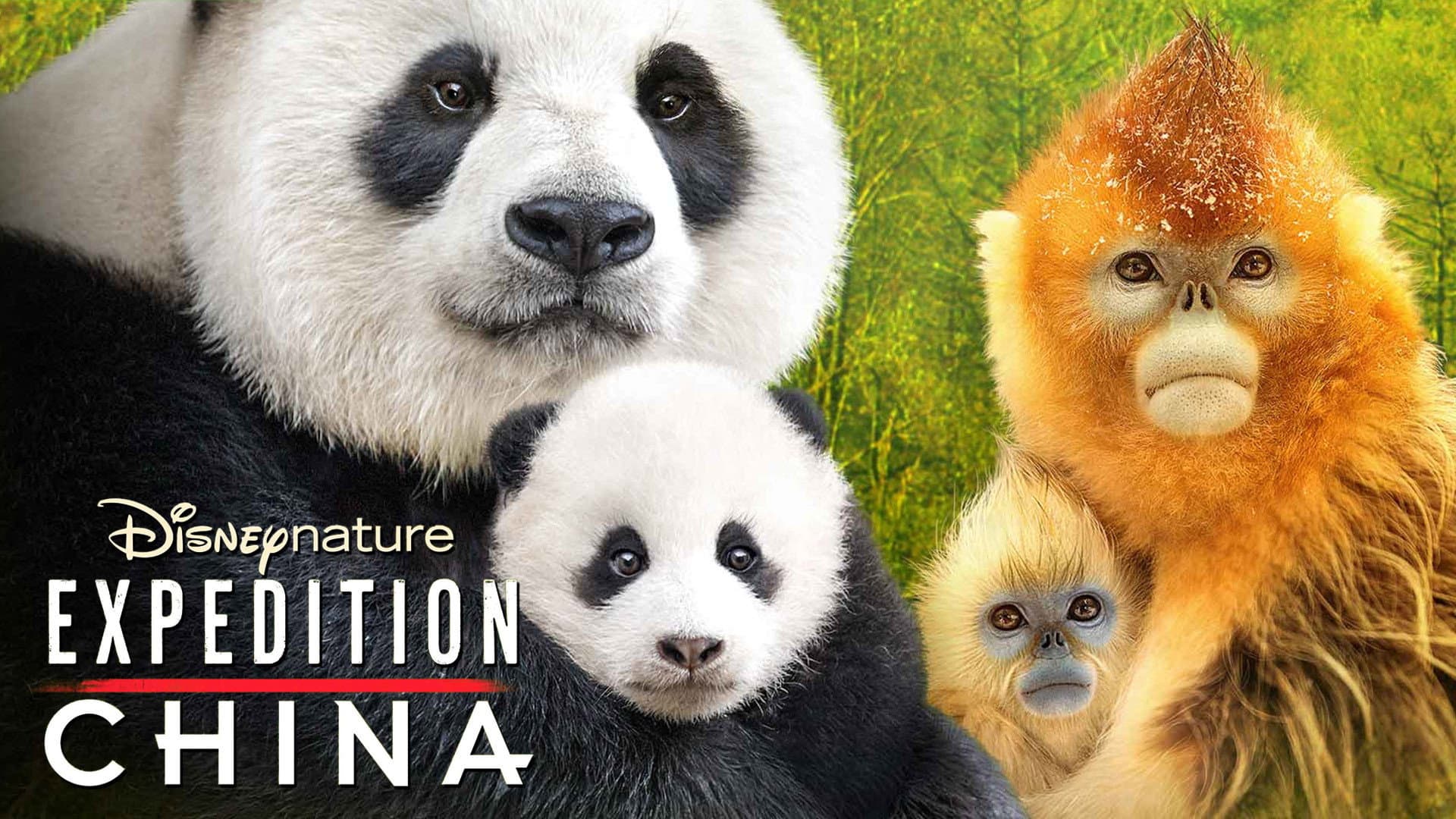 Expedition China - immagine