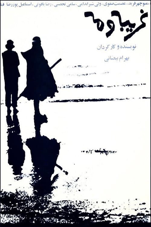 Poster di غریبه و مه