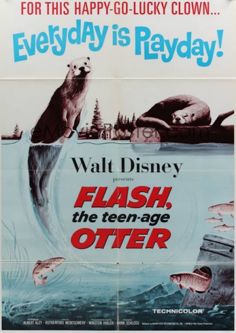 Poster di Flash, The Teenage Otter