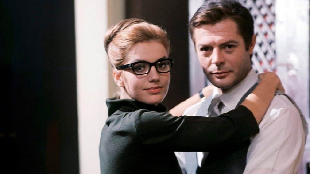 Oggi, domani, dopodomani - immagine