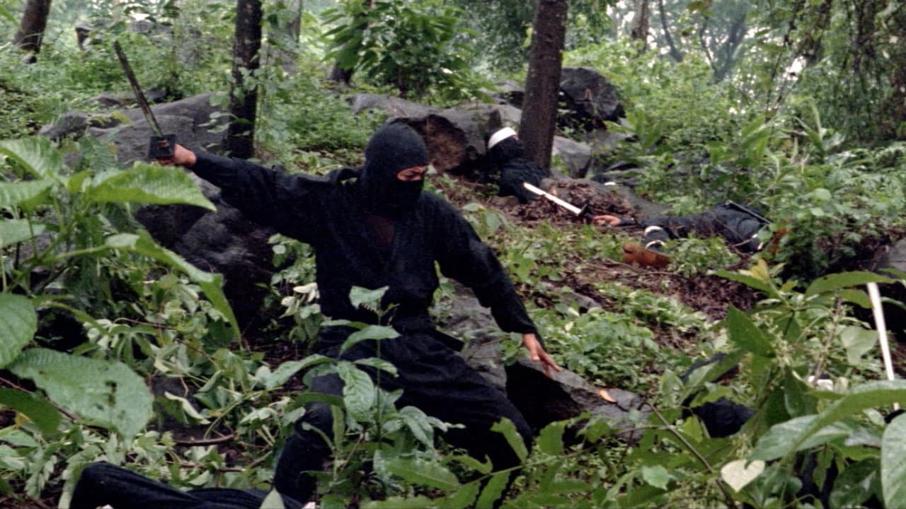 Il colpo segreto del ninja - immagine