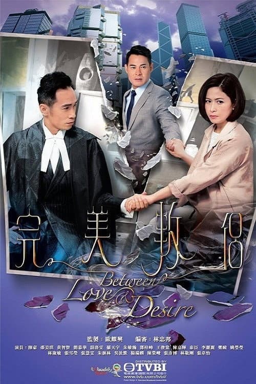 Poster di 完美叛侶