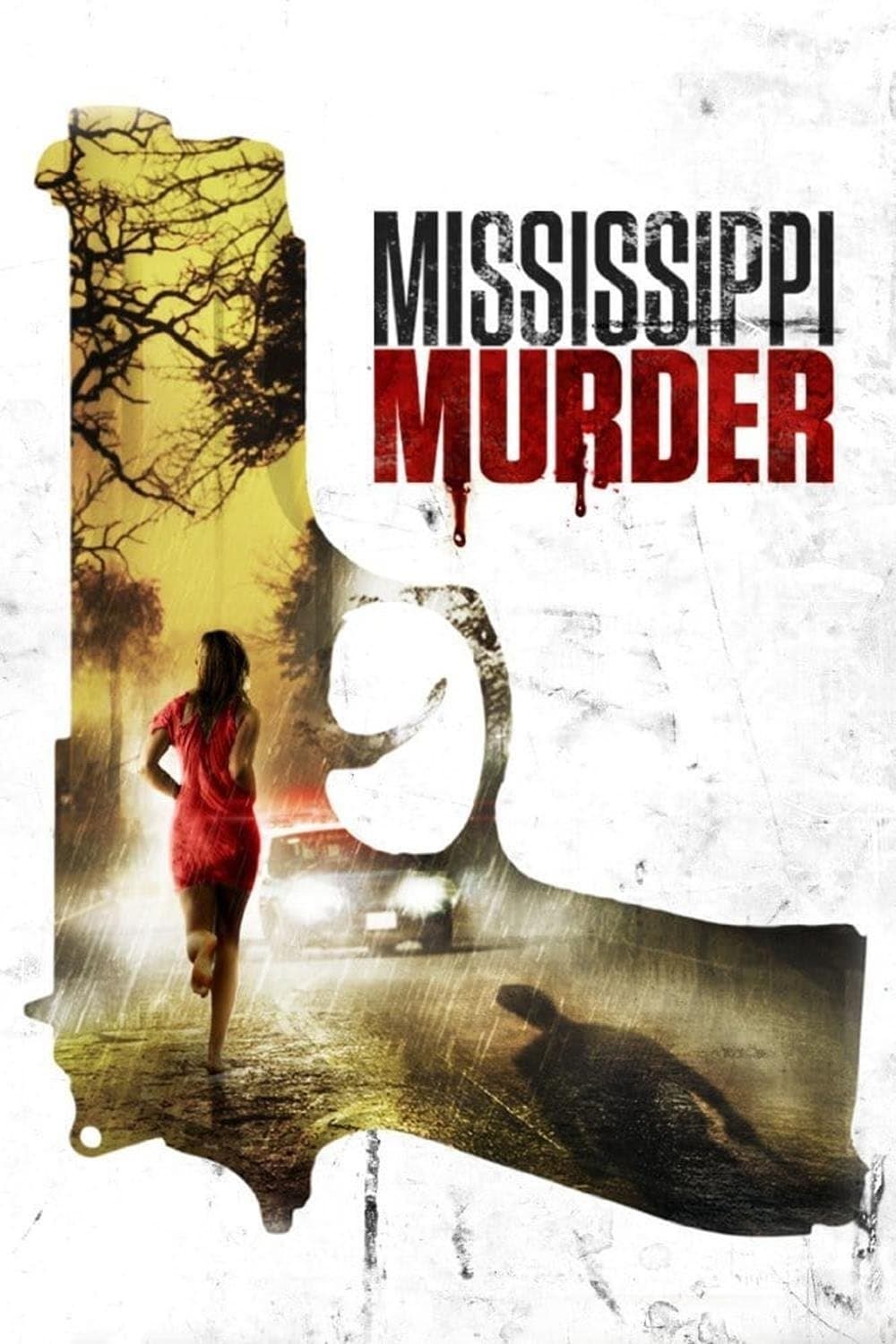 Poster di Mississippi Murder