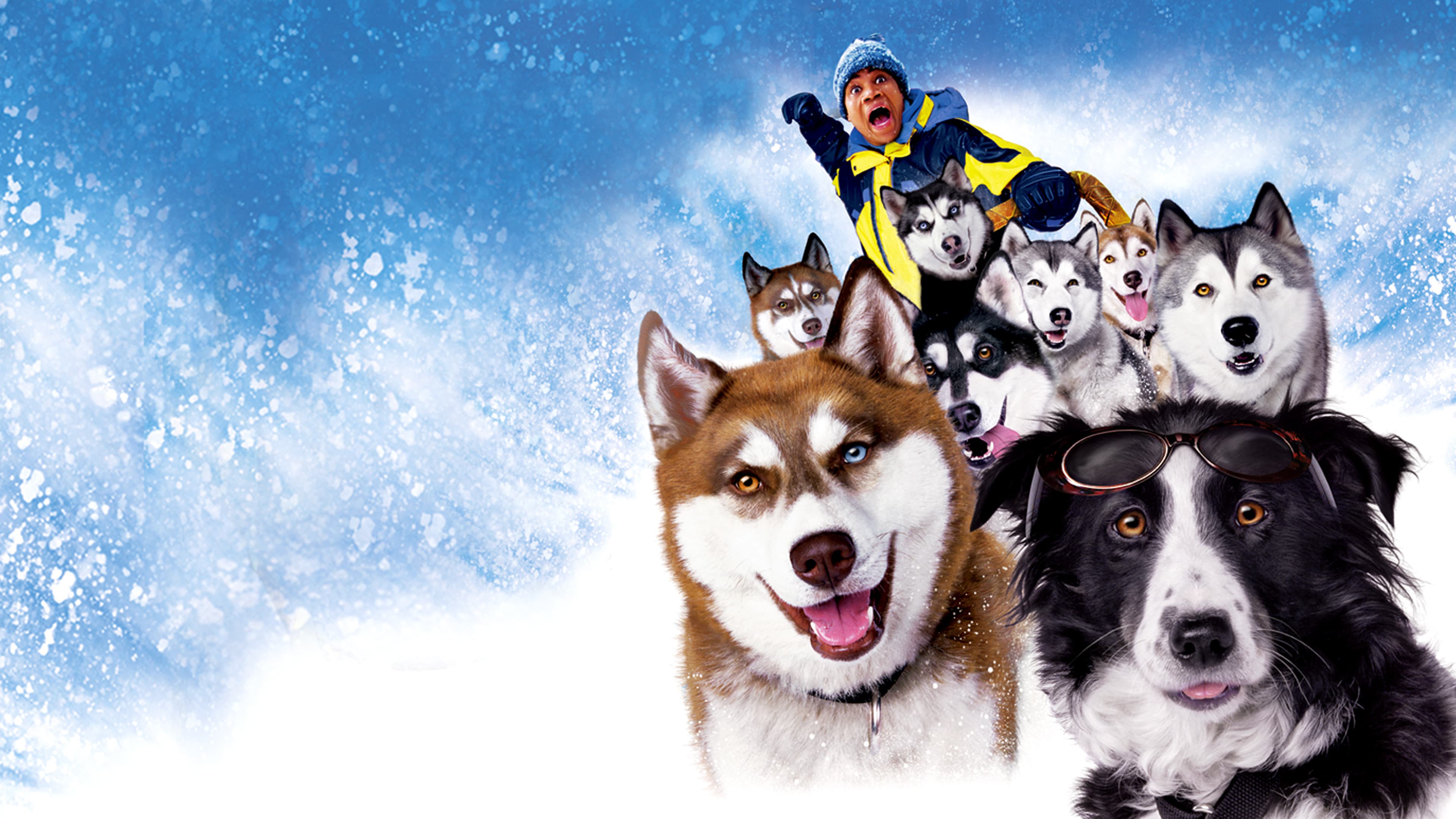Snow Dogs - 8 cani sotto zero - immagine