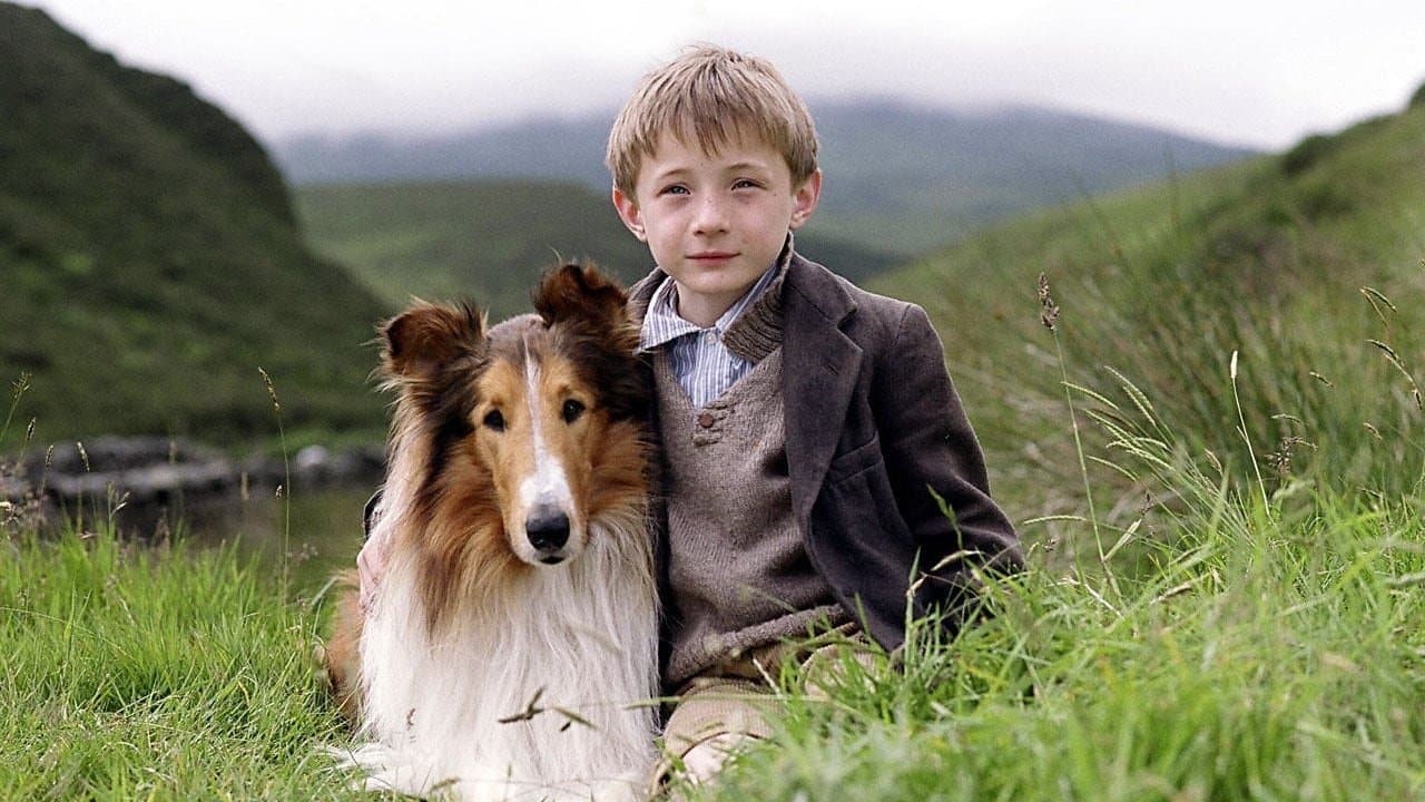 Lassie - immagine