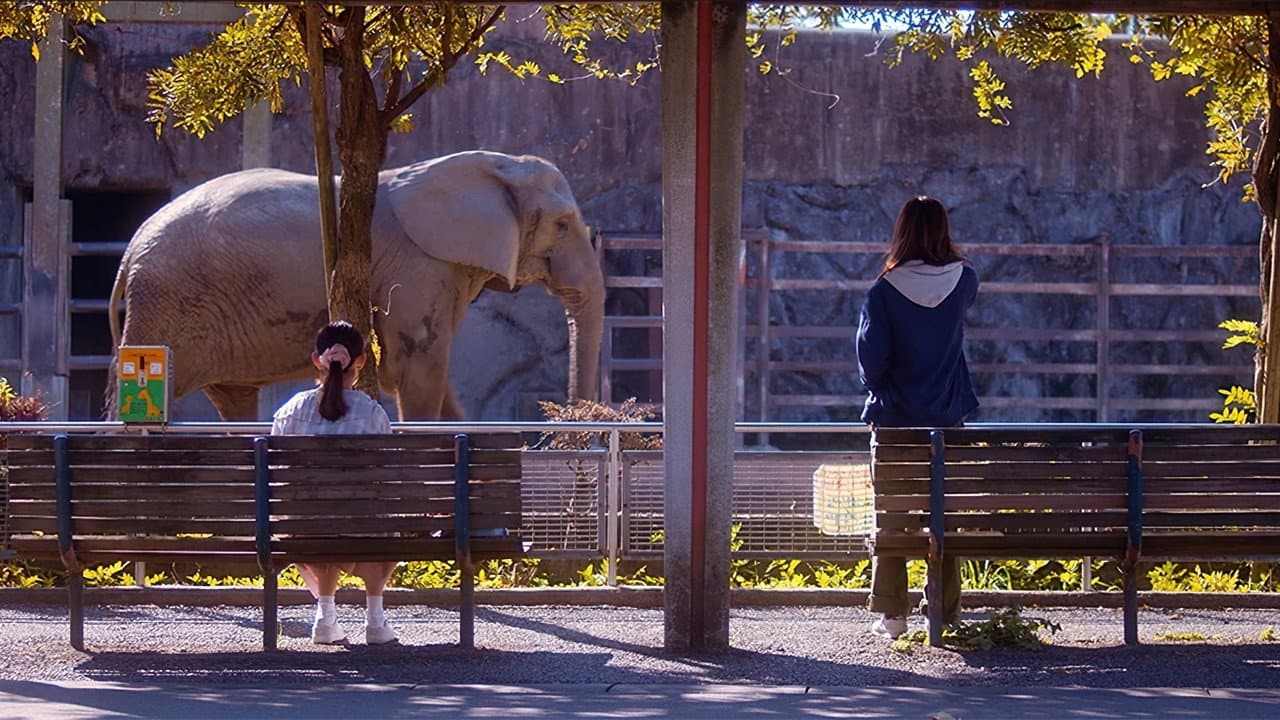 動物園のふたり - immagine