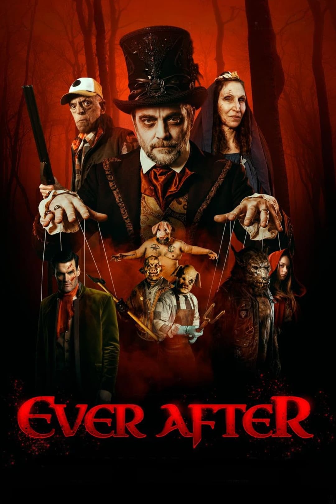 Poster di Ever After