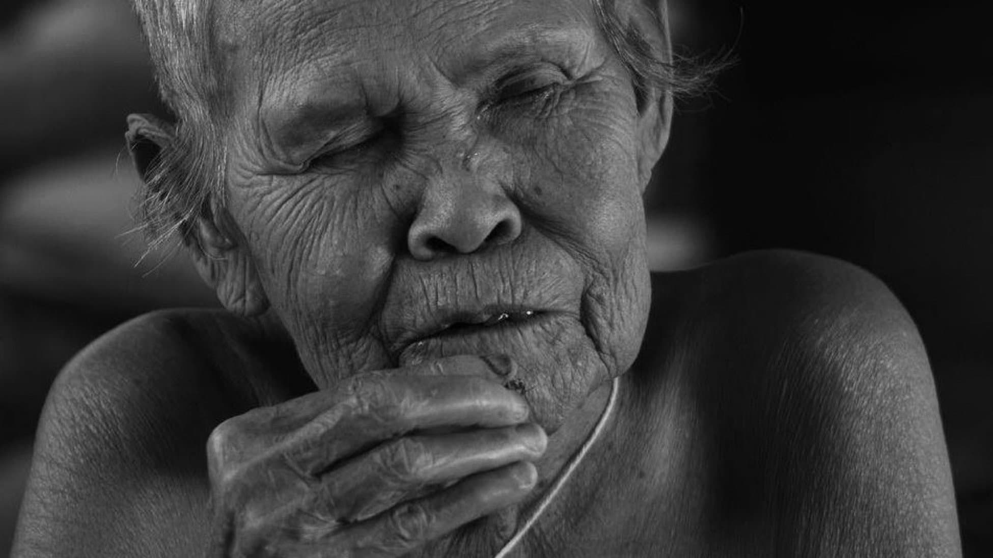 วังพิกุล - immagine