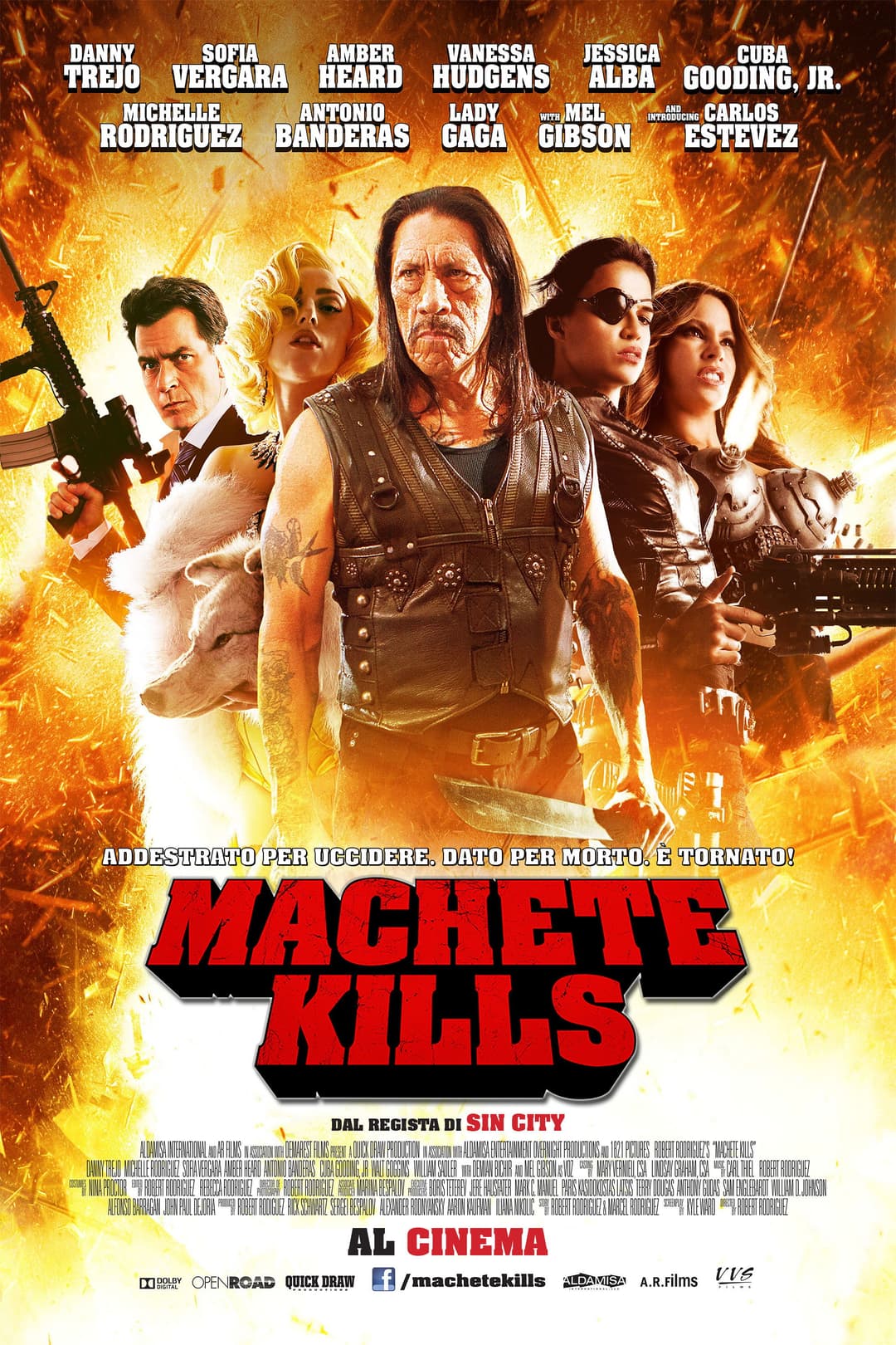 Poster di Machete Kills