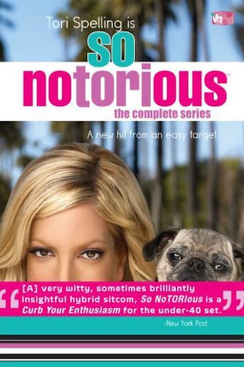 Poster di So NoTORIous