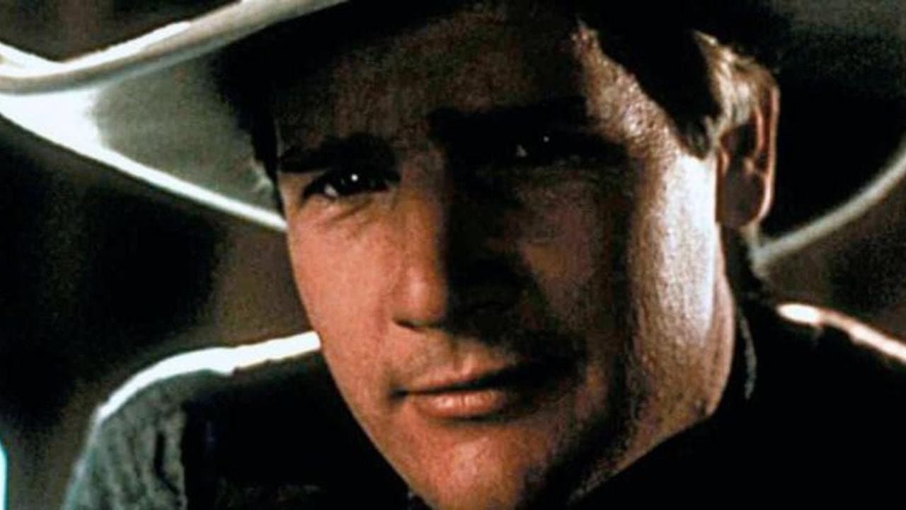 Gunfighter - immagine