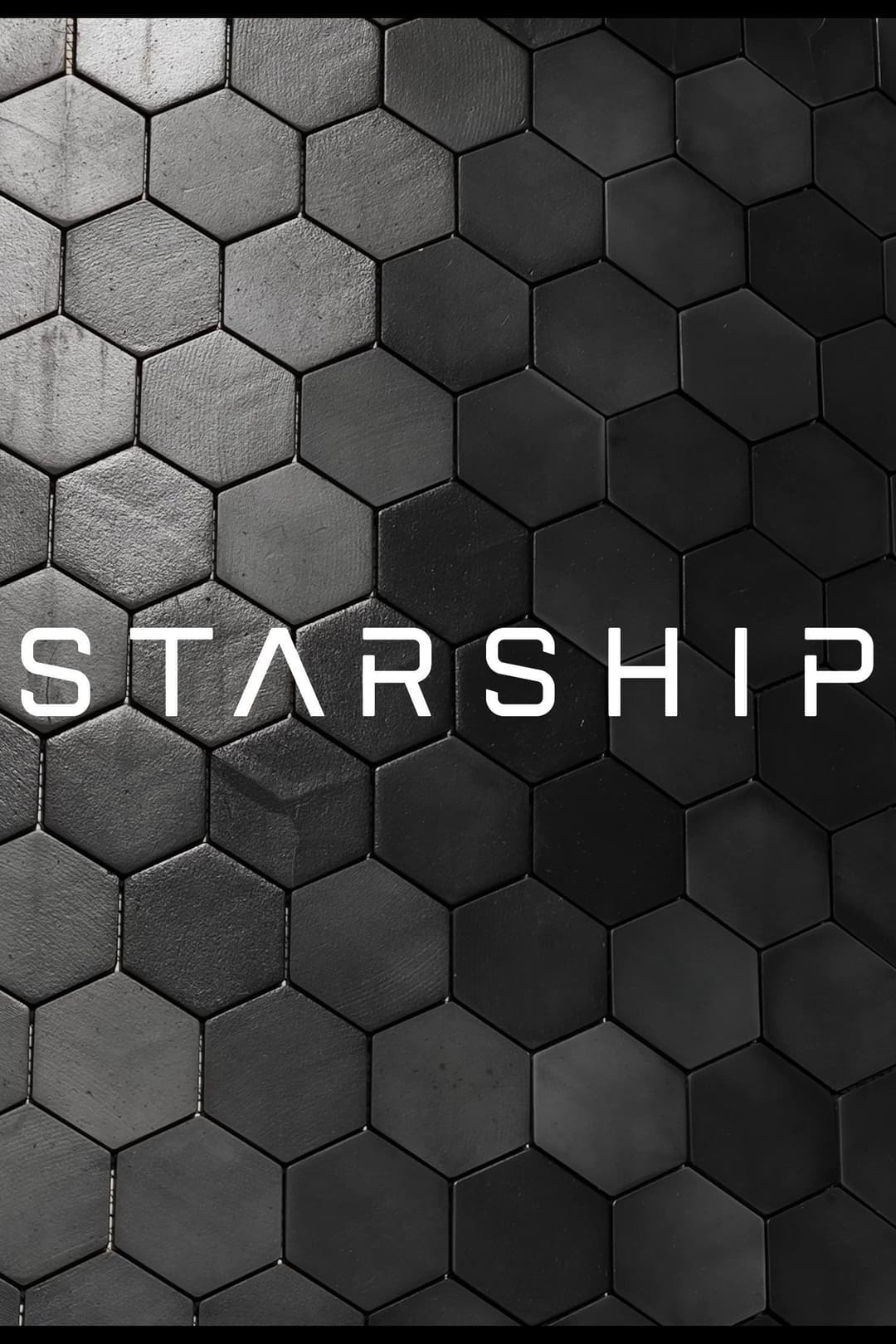 Poster di Starship