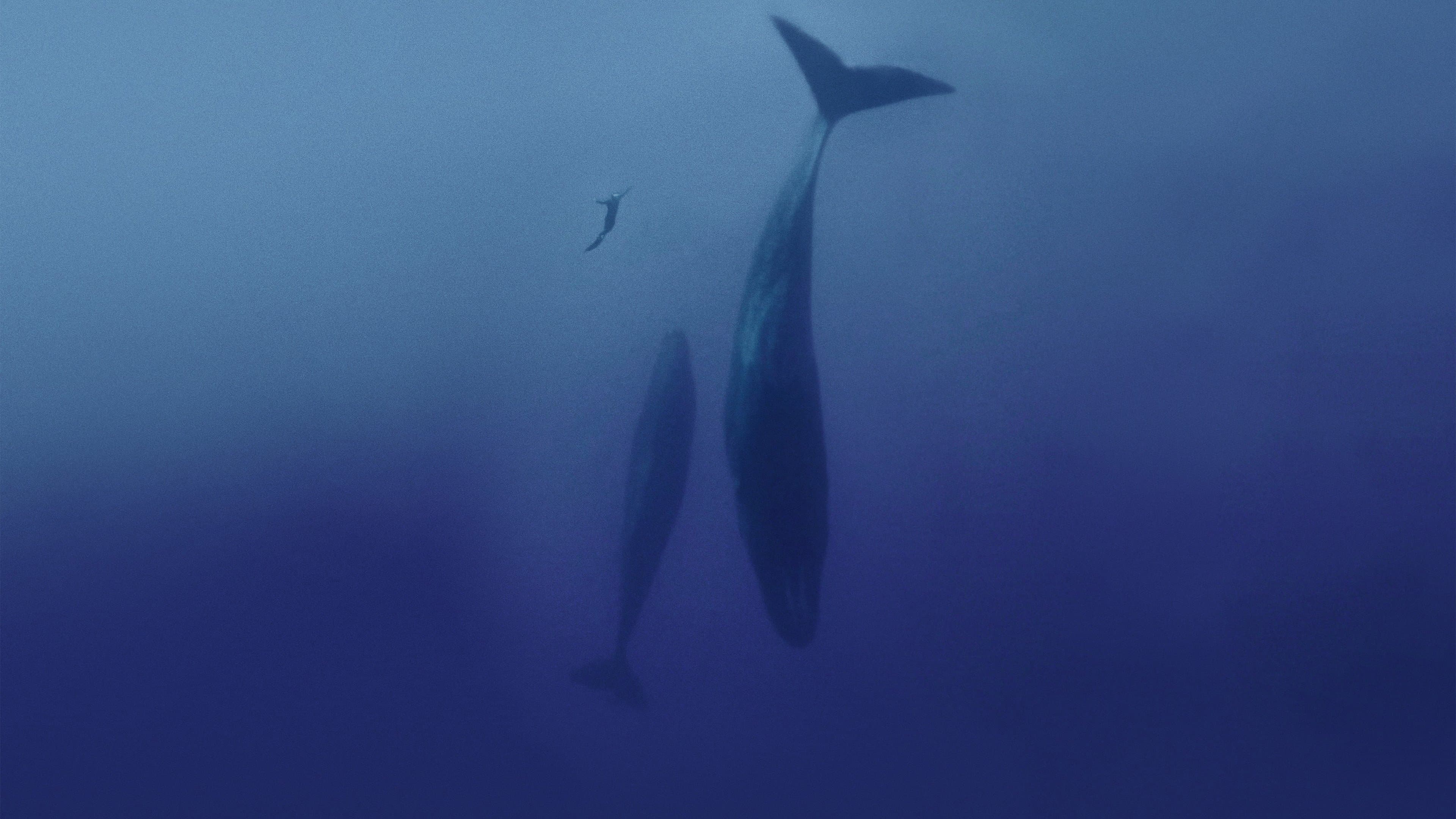 Freediver - immagine
