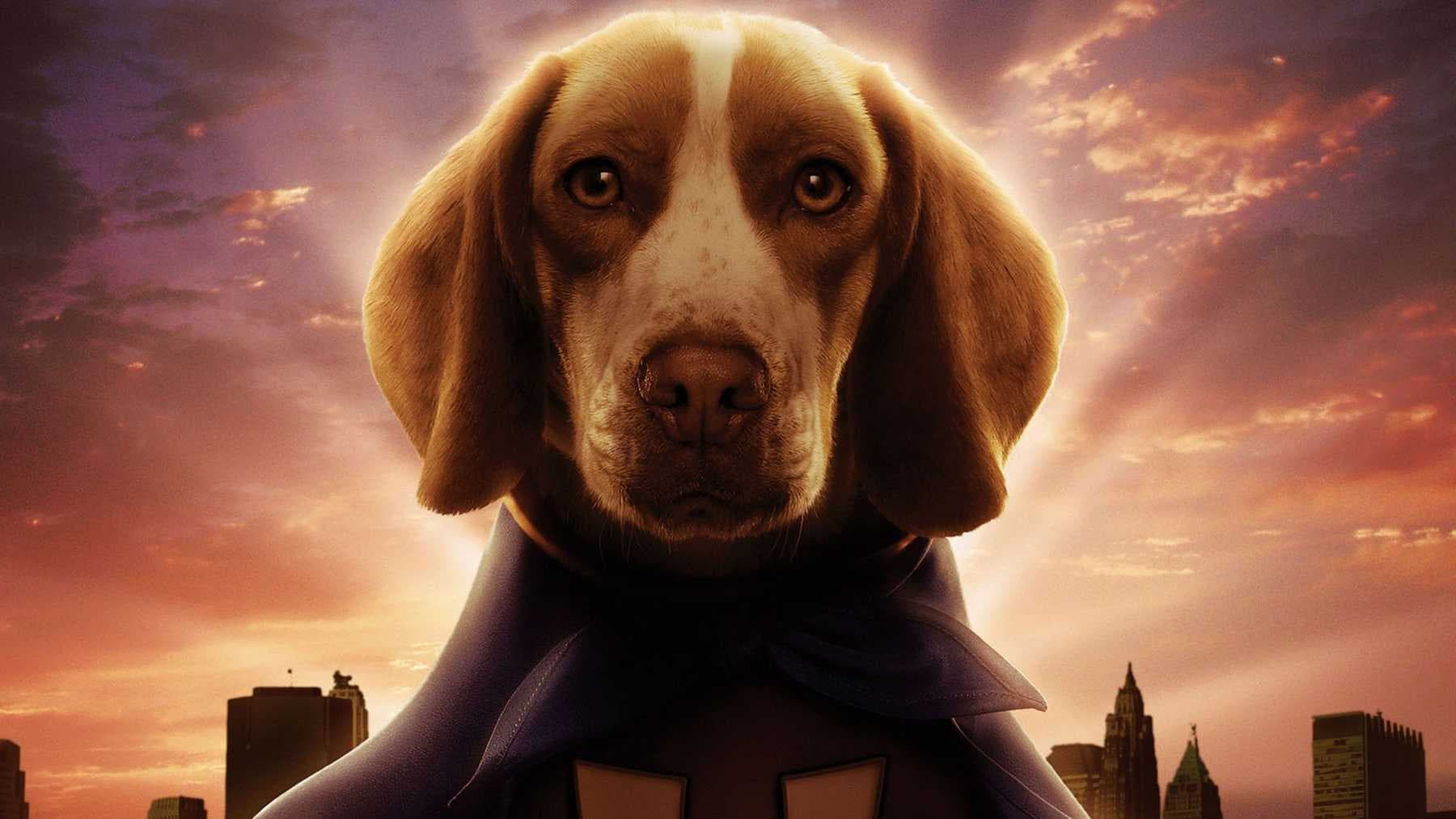 Underdog - Storia di un vero supereroe - immagine
